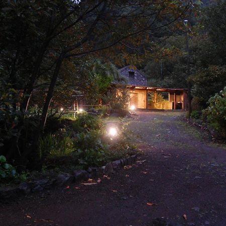 Nature Retreat - Laurel Forest Seixal  Eksteriør bilde
