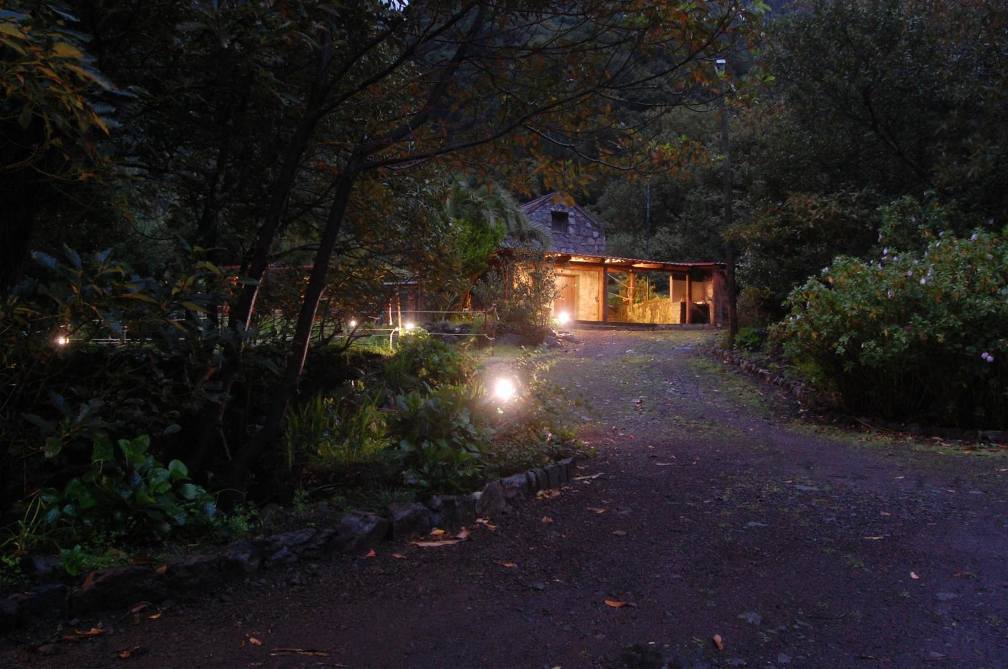 Nature Retreat - Laurel Forest Seixal  Eksteriør bilde