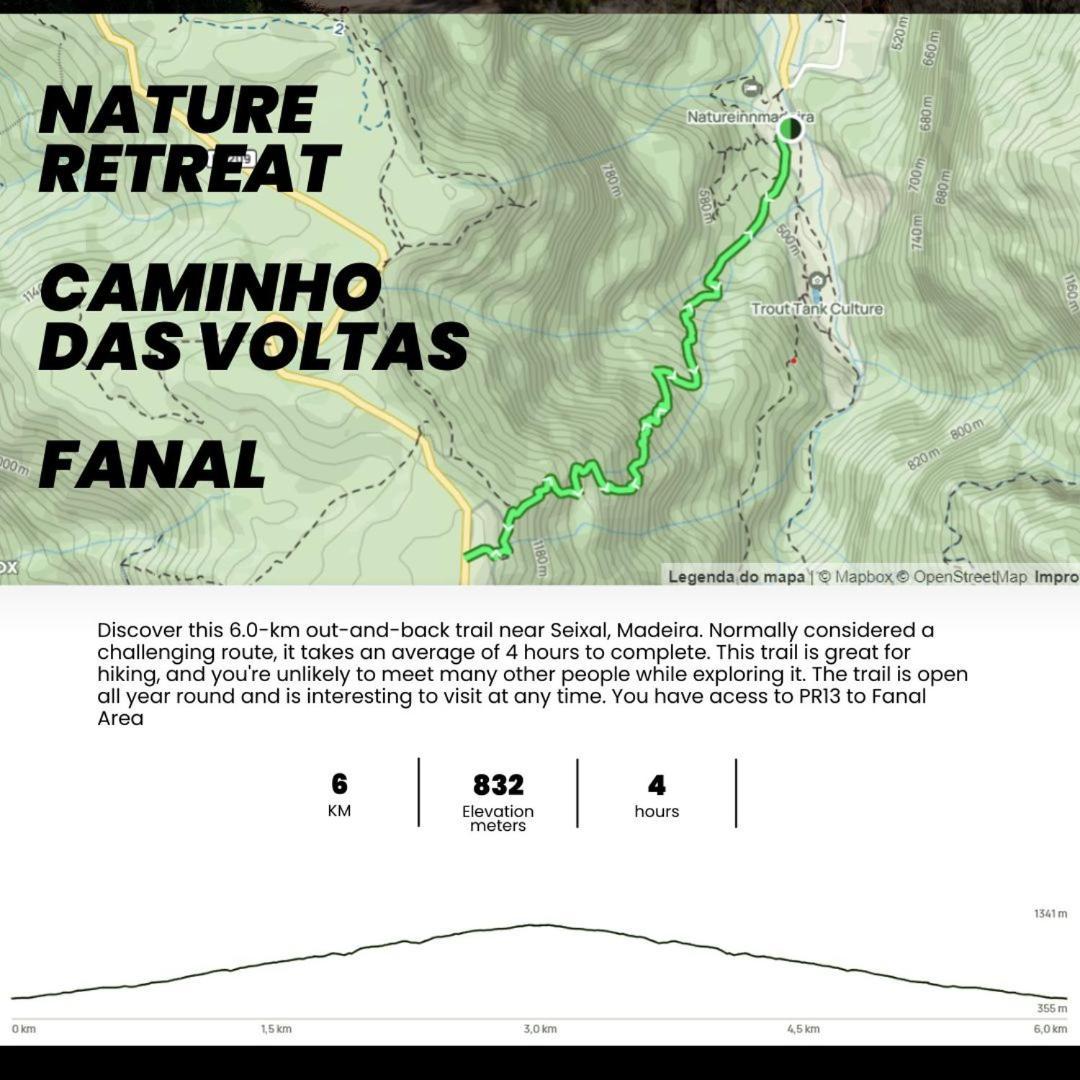 Nature Retreat - Laurel Forest Seixal  Eksteriør bilde